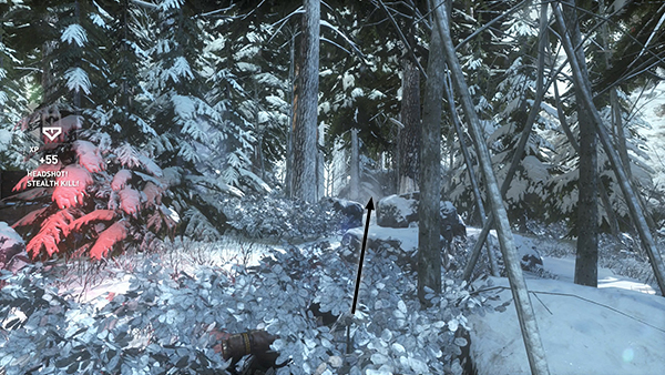 Rise of the Tomb Raider screenshot