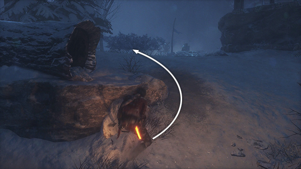 Rise of the Tomb Raider screenshot