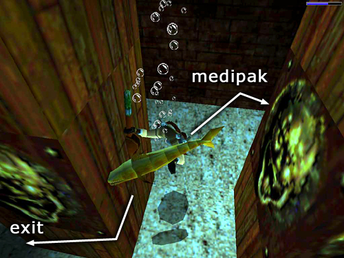 Tomb Raider 2 screenshot