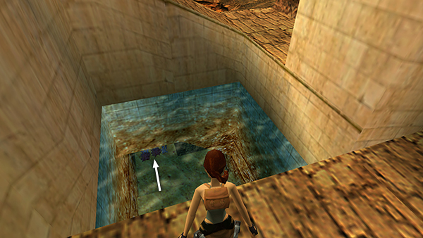 Tomb Raider Last Revelation screenshot