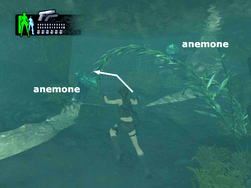 Tomb Raider Underworld screenshot