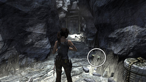 TOMB RAIDER screenshot