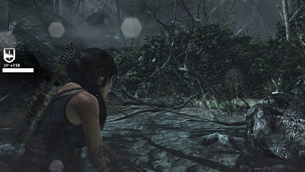 TOMB RAIDER screenshot