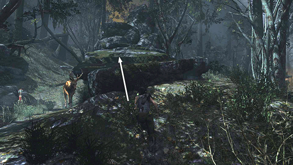 TOMB RAIDER screenshot