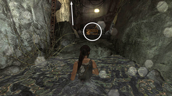 TOMB RAIDER screenshot