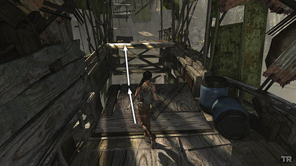 TOMB RAIDER screenshot