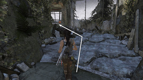 TOMB RAIDER screenshot