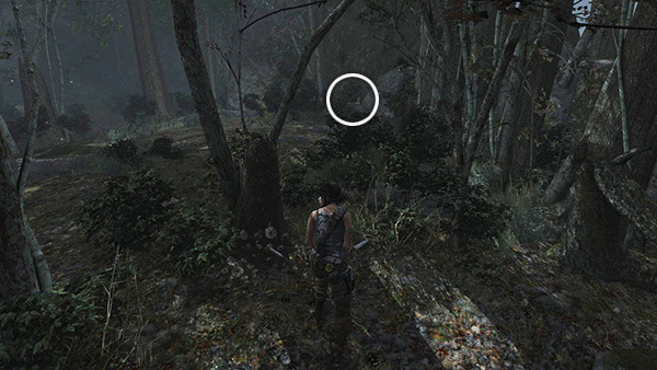 TOMB RAIDER screenshot