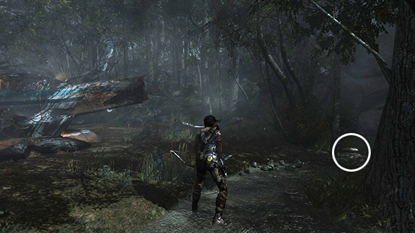 TOMB RAIDER screenshot